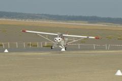 pipercub.94