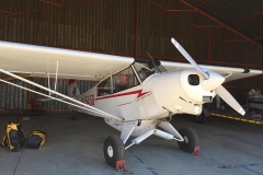 Lady Bush Pilot - African Tour - Flap 4