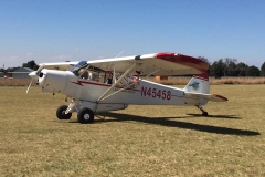 Lady Bush Pilot - African Tour - Flap 4
