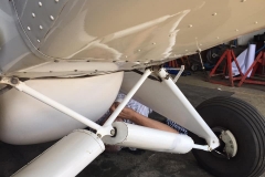 Lady Bush Pilot - African Tour - Flap 4