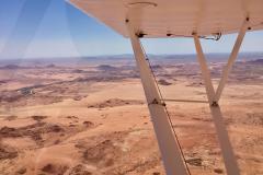 Lady Bush Pilot - African Tour - Flap 4