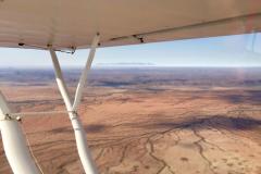 Lady Bush Pilot - African Tour - Flap 4