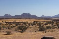 Lady Bush Pilot - African Tour - Flap 4