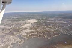 Lady Bush Pilot - African Tour - Flap 4