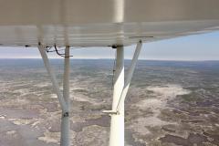 Lady Bush Pilot - African Tour - Flap 4
