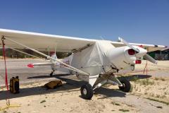 Lady Bush Pilot - African Tour - Flap 4