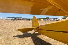 018-ShaffenDiest2022-4d43b717-92ea-4281-bc36-e35bb80dca02