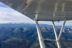 Lady Bush Pilot - African Tour - Flap 7