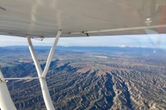 Lady Bush Pilot - African Tour - Flap 7