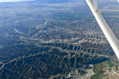 Lady Bush Pilot - African Tour - Flap 7