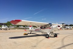 Lady Bush Pilot - African Tour - Flap 7