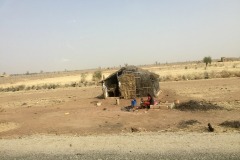 Lady Bush Pilot - African Tour - Flap 6