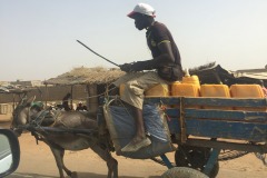 Lady Bush Pilot - African Tour - Flap 6