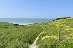 IMG_1969