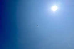IMG_1975