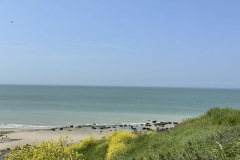 IMG_1979