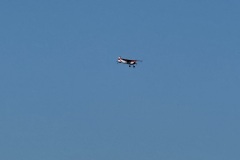 IMG_1982
