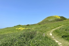 IMG_1983