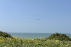 IMG_1984