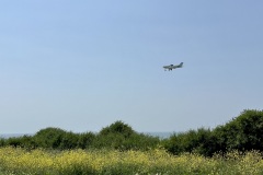 IMG_1985
