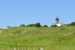 IMG_1987