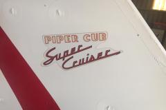 Lady Bush Pilot - African Tour - Flap 4