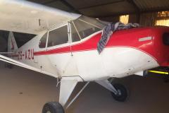Lady Bush Pilot - African Tour - Flap 4