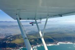 Lady Bush Pilot - African Tour - Flap 4