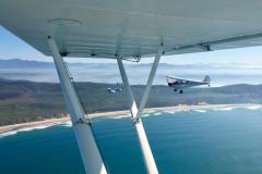 Lady Bush Pilot - African Tour - Flap 4