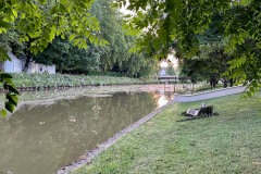 IMG_3003